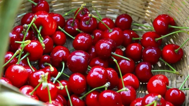 成都周边一日游，成都周边一日游风景好的地方推荐（山野间“粽”情享受）