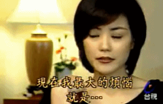 卢觅雪，卢觅雪的演艺经历（最无节操的香港狗仔时代）