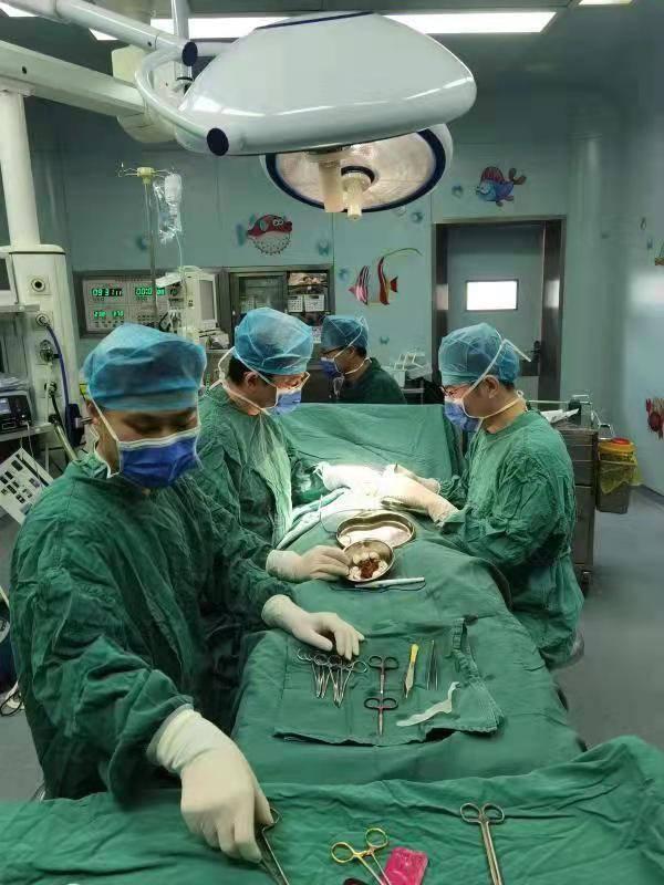 急性睾丸扭转百科，“蛋蛋”疼？小心急性睾丸扭转