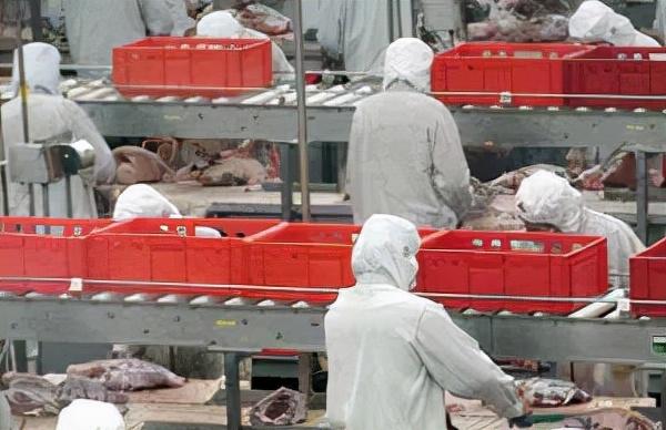 你知道中国食品饮料品牌300强吗？