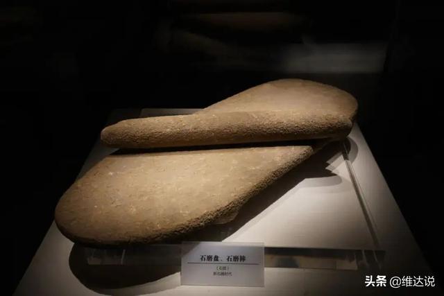 小米是什么农作物，粟是什么农作物（五谷之首的小米为何被四千多年前从西亚传入的小麦取代主粮地位）