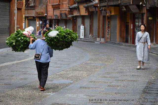 黔南布依族苗族州，娃娃鱼图片大全大图