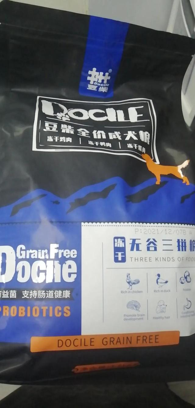 金毛狗多少钱，金毛犬的价格（一只宠物狗狗一生要花多少钱）