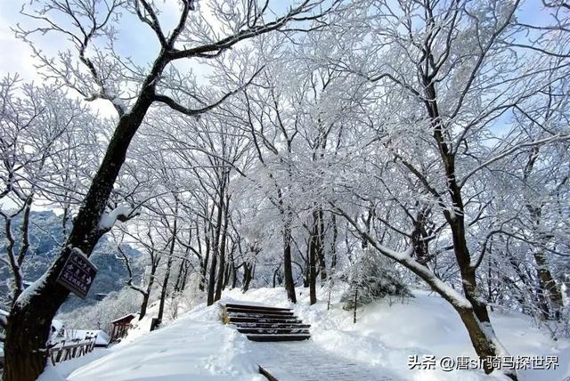 唯见青山不见君殚尽红颜如神明，殚尽红颜如神明什么意思（隐藏在洛阳的天上宫阙——老君山）
