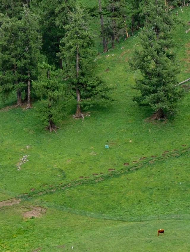 微信状态背景视频，微信怎么做状态背景视频（<有教程和配套农场状态背景图>）