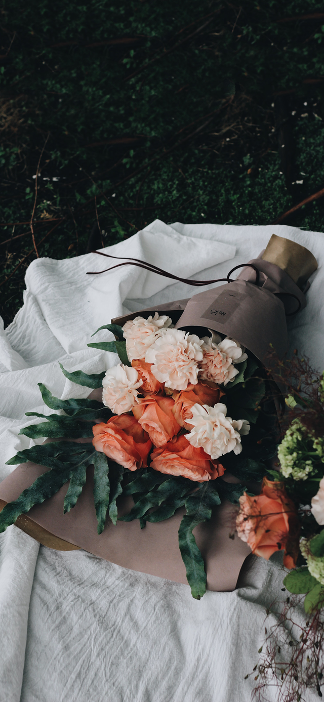 风景静物背景图|谢谢光临.，静物背景图片（花卉摄影壁纸图文解说）