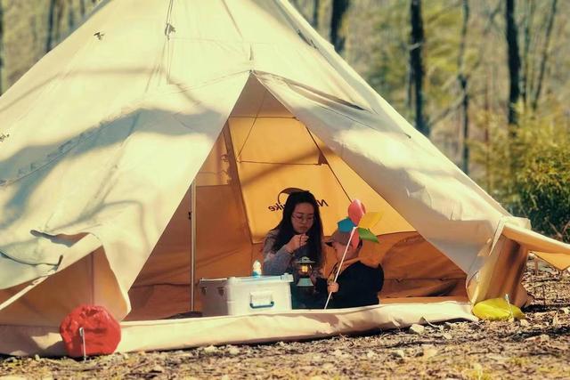 朱雀国家森林公园，陕西翠华山朱雀国家森林公园（玩转朱雀国家森林公园）