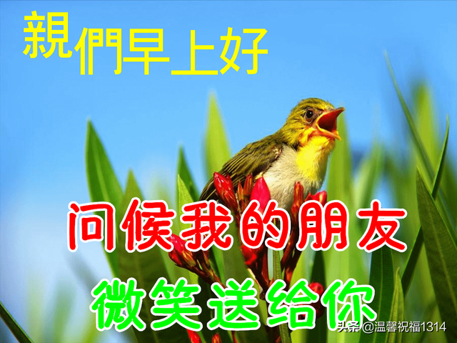 1314结婚祝福语，1314祝福话语（送给最牵挂的你。亲爱的早上好）