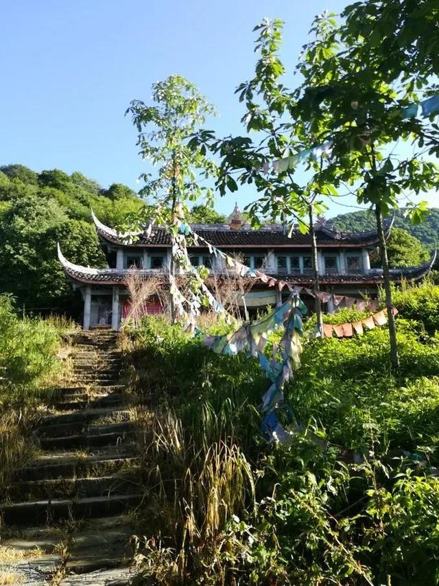 天台山旅游攻略，天台山旅游攻略大全（享受当下冬日的清闲与暖意）