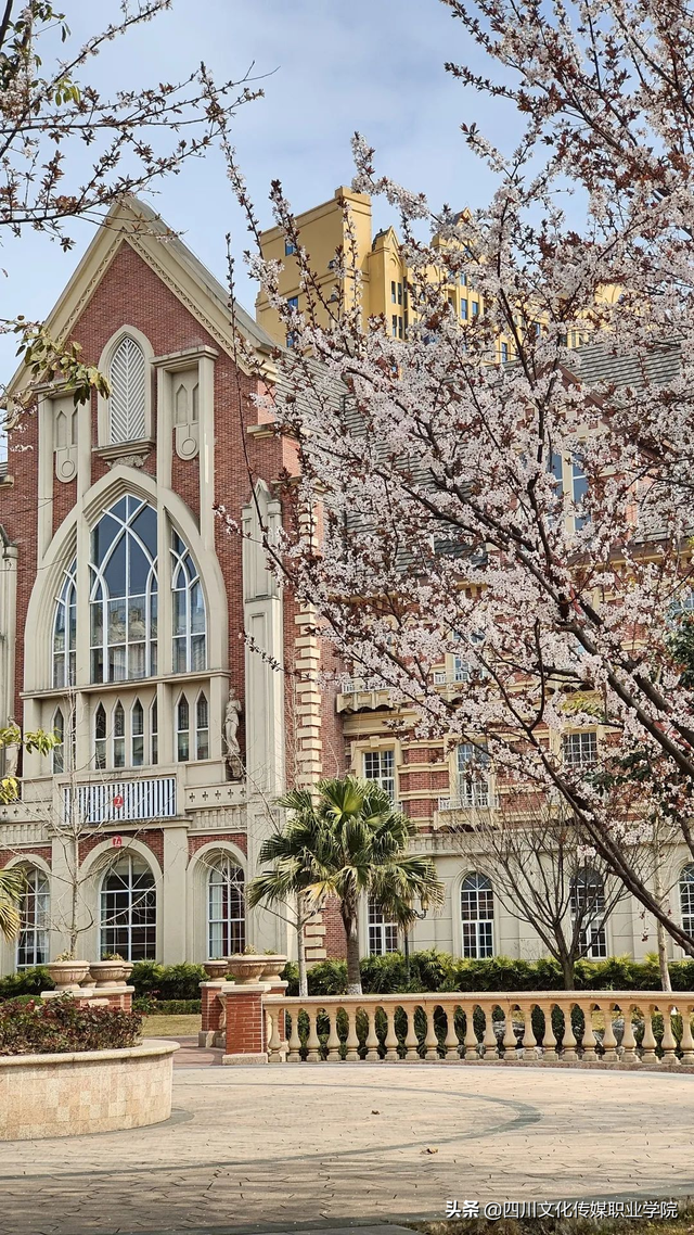 四川文化传媒职业学院，2021四川文化传媒职业学院地址在哪里（致2022年初中毕业的你）