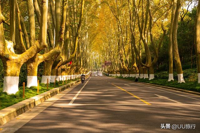 南京旅游攻略景点必去，春季南京旅游攻略景点必去（南京最值得去的11个地方）