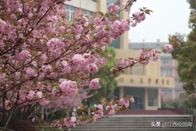 九江学院录取查询，2021级九江学院新生开学时间和入学指南及入学军训考试（来看2021年分省分专业录取分数线）