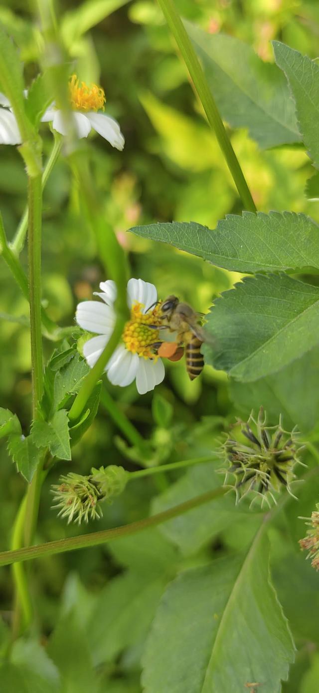 4.5月份的当季水果，芒果季节是几月份吃（一年四季都吃什么水果）