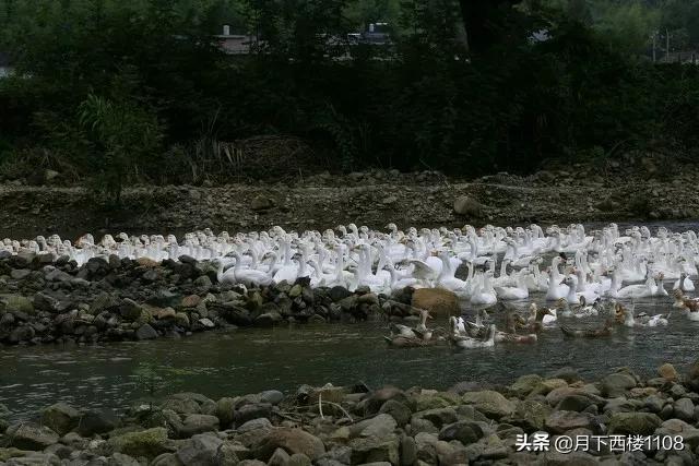 湖南人口最少的前十个县，因为一个名字与衡阳结下不解之缘