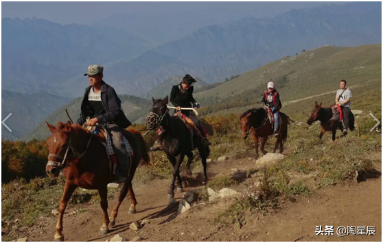 东灵山在哪里，谁见过北京的最高峰东灵山顶