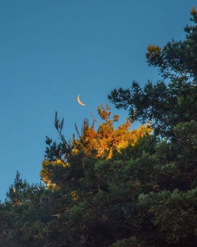 平安幸福的格言，平安是福名言（写给自己保持好心态的人生格言）