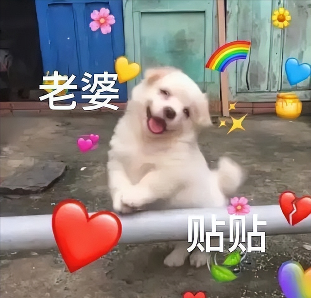 哥哥贴贴什么意思，贴贴是什么意思网络用语（—“贴贴”是什么梗）