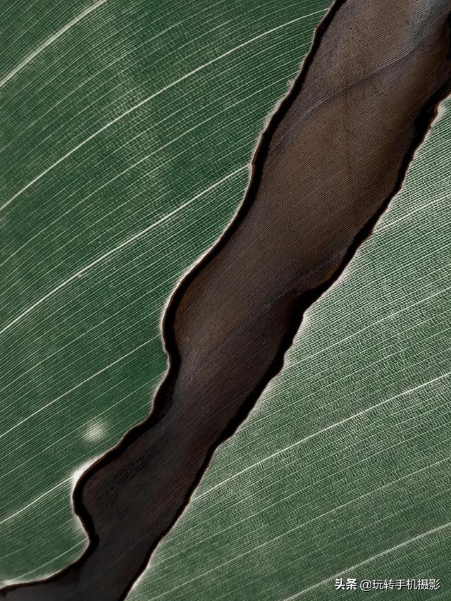 什么情况下拍照用HDR模式，拍照中的hdr是什么模式（你想不到的公园拍照技巧）