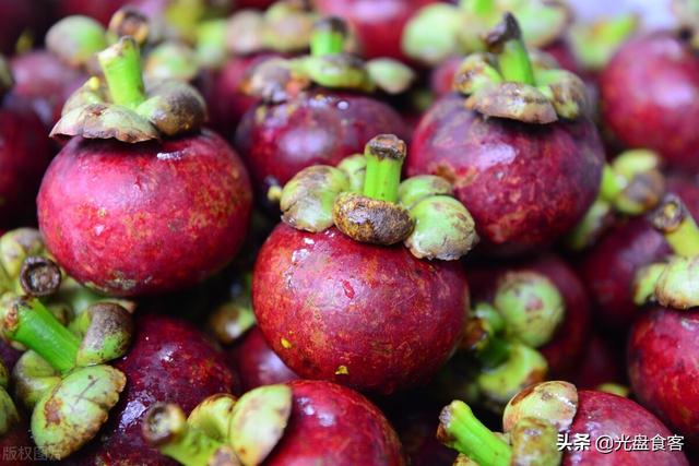 提子是什么季节的水果，提子是什么季节的水果 提子成熟季节（7月必吃的5种应季水果）