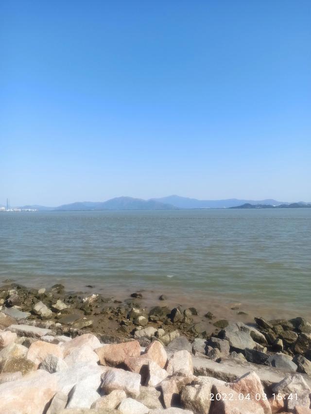 深圳湾公园在哪里，去深圳湾公园怎么预约（深圳湾公园）