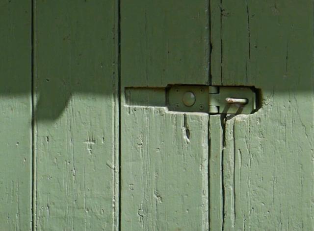 关于夏天的图片，属于夏天 的美丽   ／高清背景图（绿色系背景图，好适合夏天）