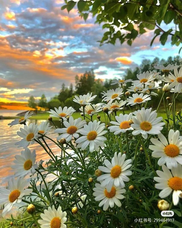 党内警告处分有什么影响，党内严重警告处分有什么影响（受到党内严重警告处分）