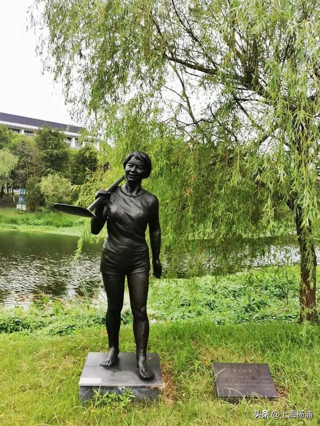 赛艇运动起源于哪里，赛艇运动起源于哪里英语（“赛艇女孩”，从杨浦走向世界）