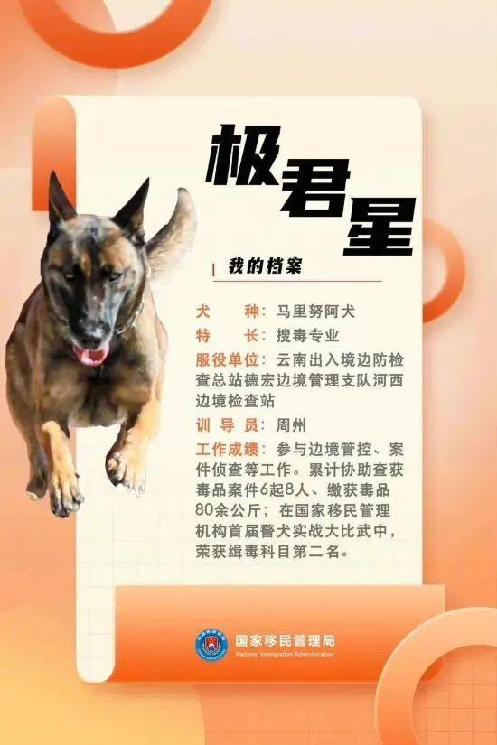 汪汪队立大功百科,汪汪队立大功人物介绍(国家首批功勋犬简历曝光) 汪汪队立大功百科,汪汪队立大功人物介绍(国家首批功勋犬简历曝光)