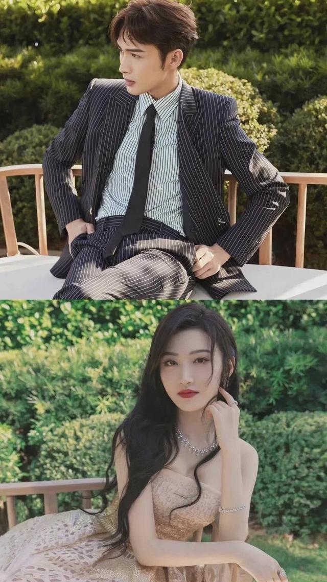 北美大灰狼是什么梗，北美灰狼为什么这么大（嘟嘴索吻、牵手搂抱、时刻黏在一起）