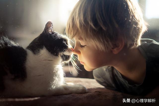 独生子女的好处，独生子女的好处和坏处（心理学：独生子女特点总结）