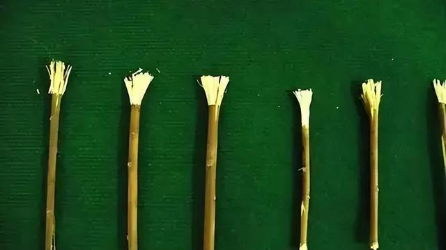 古代人怎么刷牙，古代人是怎么刷牙的（那古人是如何刷牙的）