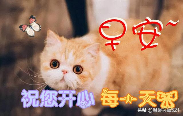 春天问候祝福语大全，春天问候语的祝福语（2022春天最新漂亮早上好问候图片）