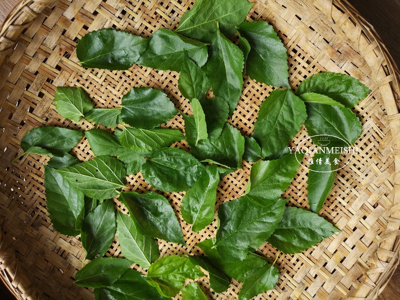 桑叶茶的制作方法