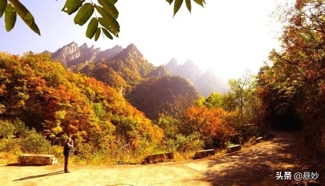 河南十大怪石山,河南八大人氣最高的山峰