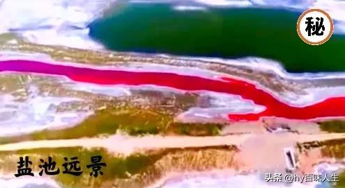 关二爷是什么神，关二爷为什么是神明（关羽为何被尊奉为“财神爷”）