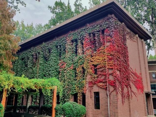 2021理工类专业有哪些专业 理工类专业就业方向，2021理工类专业有哪些专业（这10个\