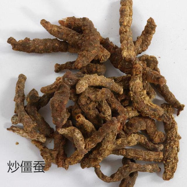 僵蚕的作用与功效，每天学习一味中药——僵蚕