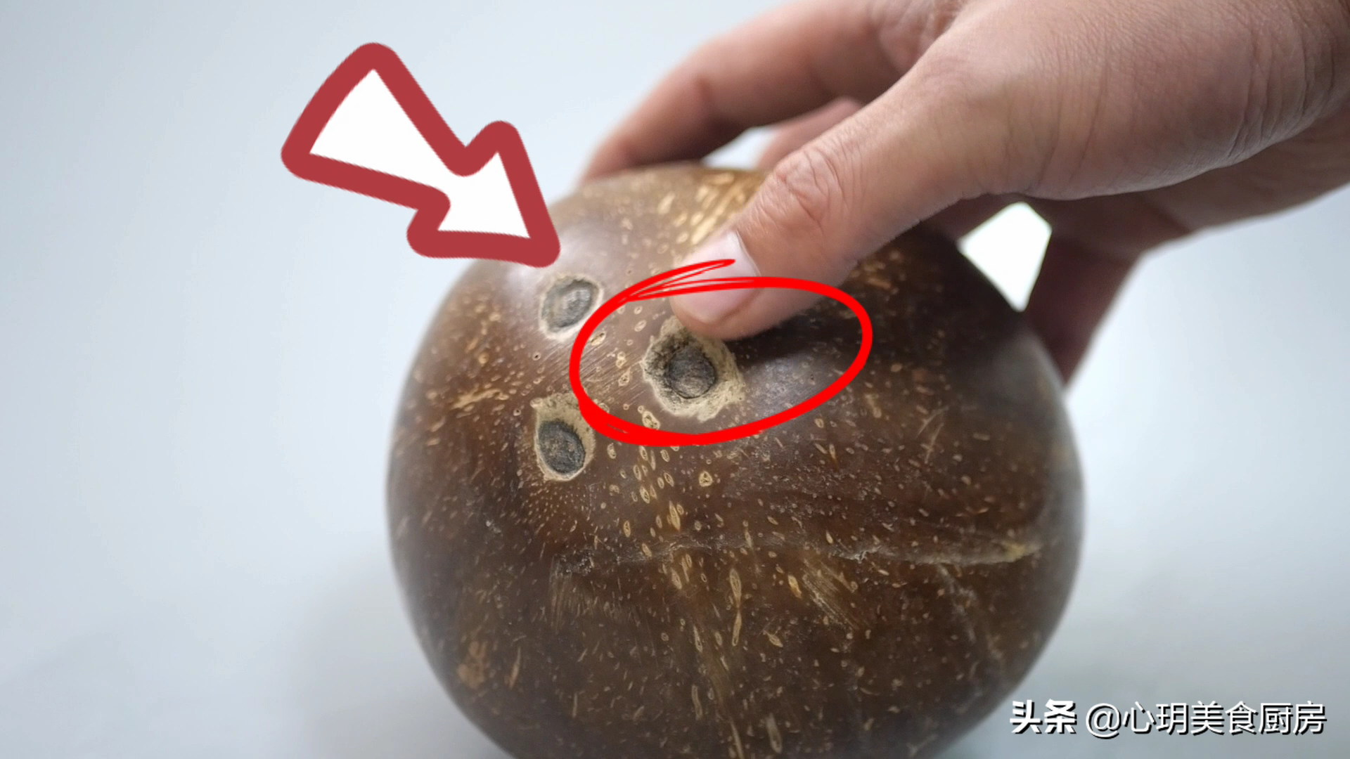 椰子怎么打开（只需要10秒轻松打开椰子的办法推荐）