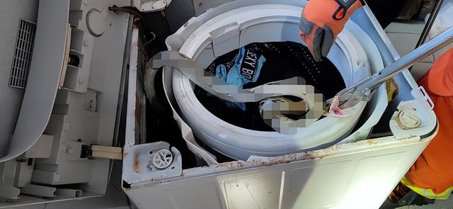 中国十大毒蛇，中国十大毒蛇排名 前十名（我国陆地第一毒蛇银环蛇）