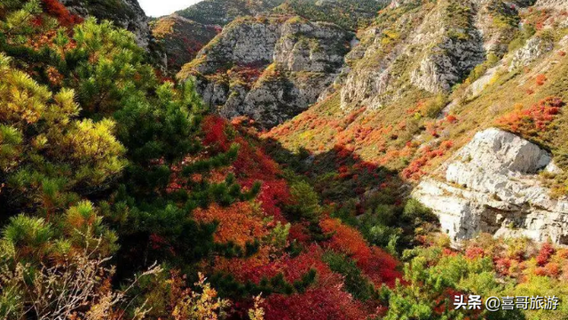 太原景点排行榜前十名，太原有啥旅游景点（有哪些值得游玩的旅游景点）