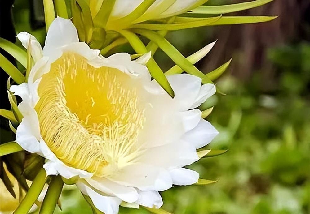 Lrim0 Dg31ie M Lrim0 Dg31ie M