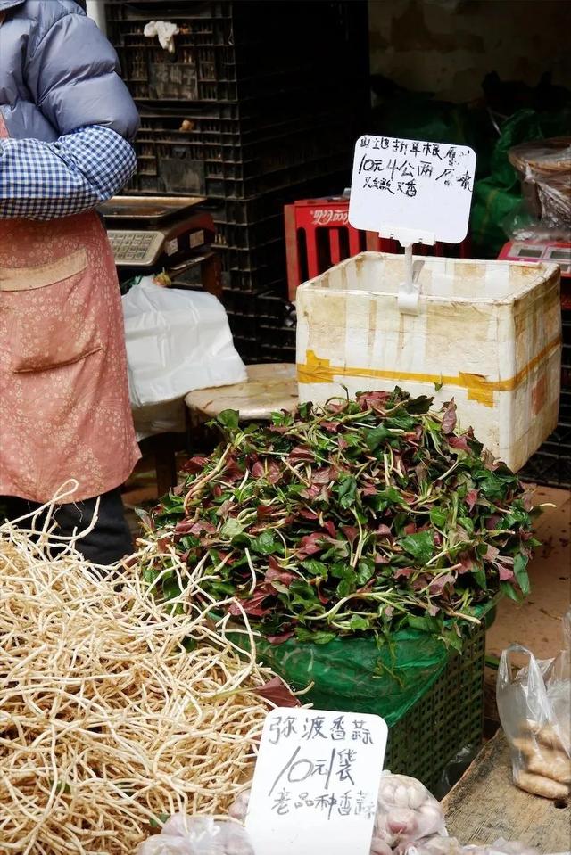 云南最好吃的野生菌在哪，中国最浪漫城市非她莫属
