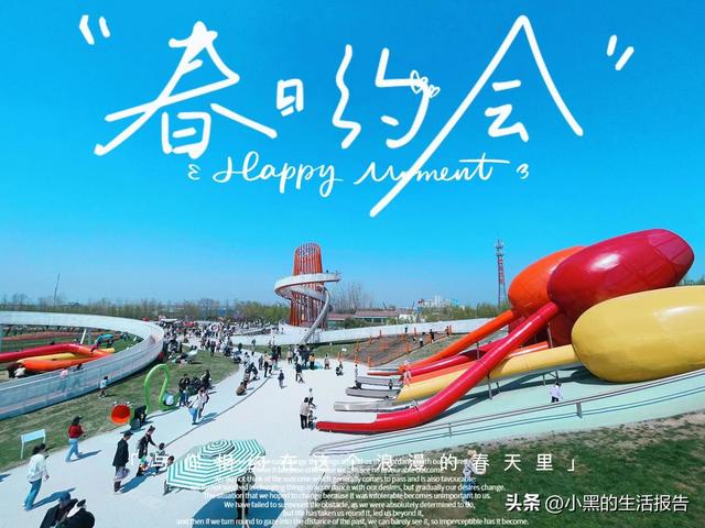 江苏盐城大丰荷兰花海门票，五一就去这里！儿童友好型