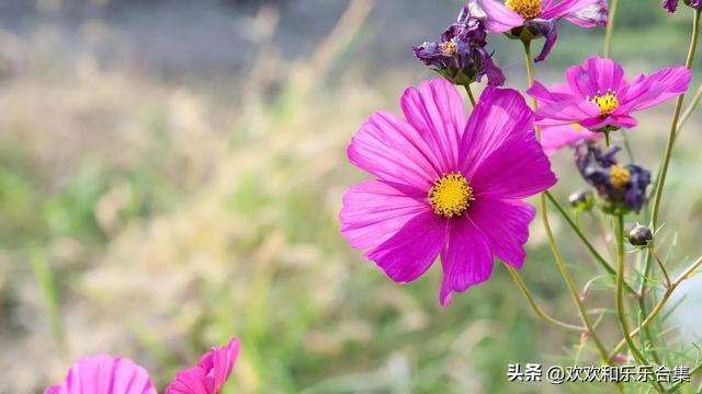 微信设置三天可见，微信可以单独设置三天可见吗（微信\