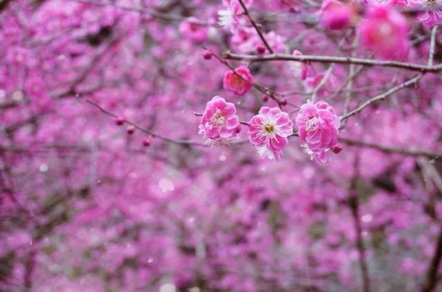 林念网名，林念微信昵称（她第一次收到男人的来信）