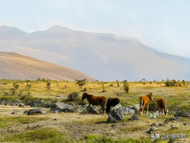 南美洲有什么景点，南美洲有什么著名景点（一生值得去的地方）