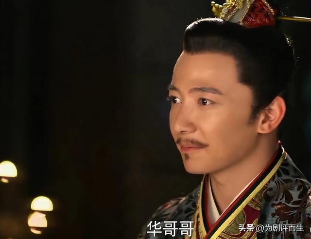 金晨主演的电视剧，金晨和杨烁演的电视剧（《苍兰诀》导演新作开播）