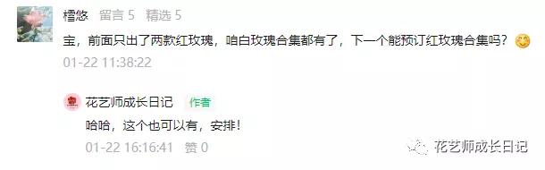 黑玫瑰花语，碎冰蓝玫瑰花语（复古暗红色系的玫瑰女王）