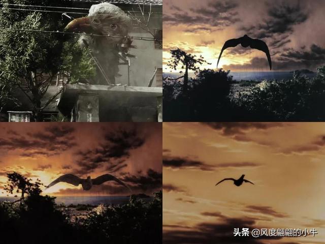 手q是什么意思，手Q是什么意思（奥特Q怪兽图鉴）