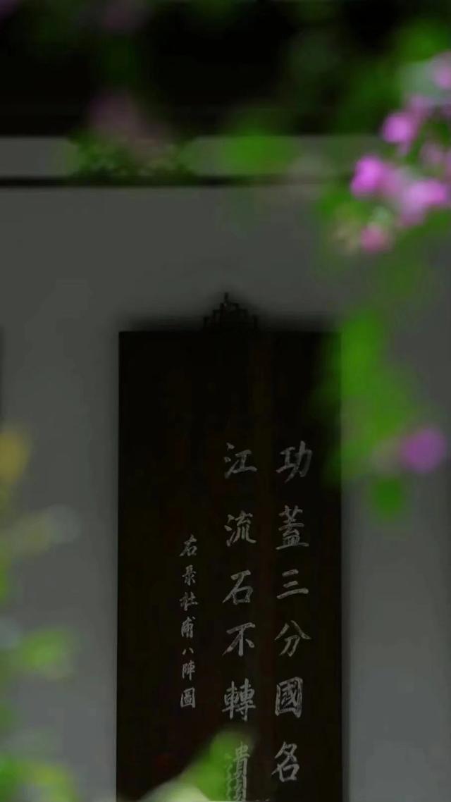 花开瞬间美文，花开的瞬间作文600字（也遇见内心的朴素）